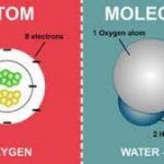 Apakah Semua Orang Bisa Membedakan Molekul Dari Atom